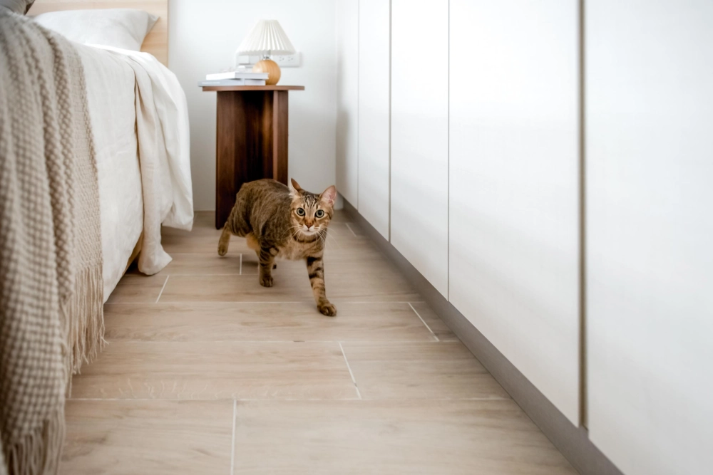 新北市｜住宅CY