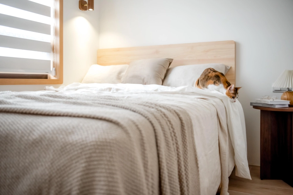 新北市｜住宅CY