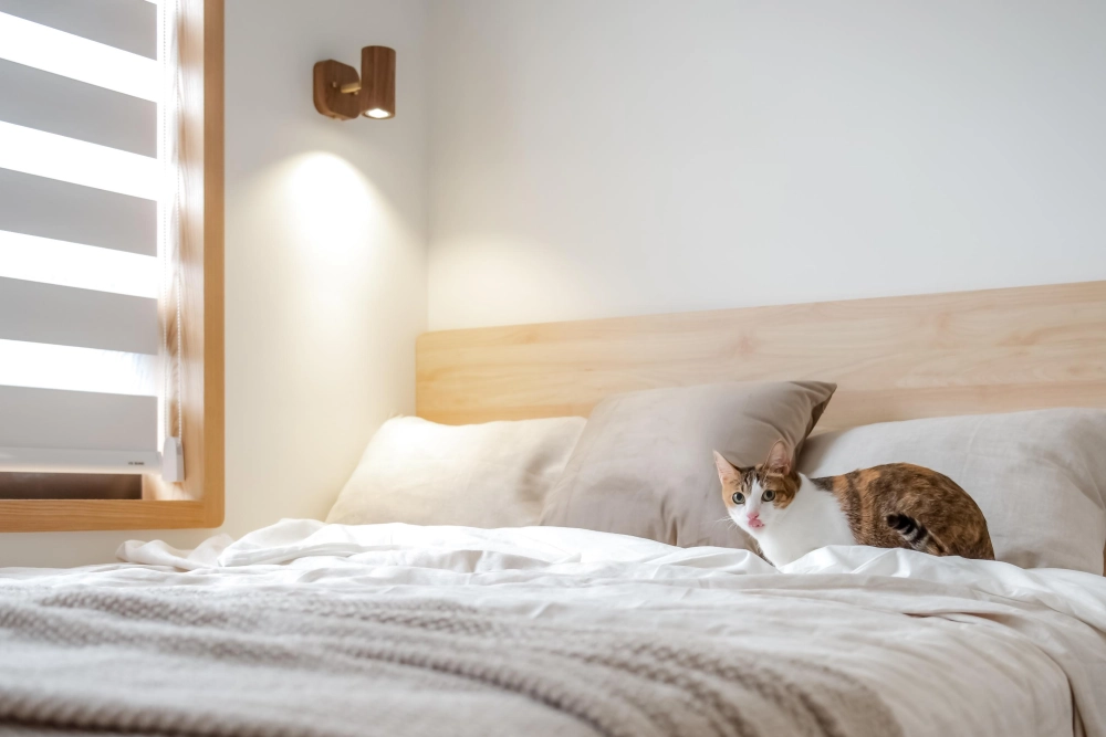 新北市｜住宅CY