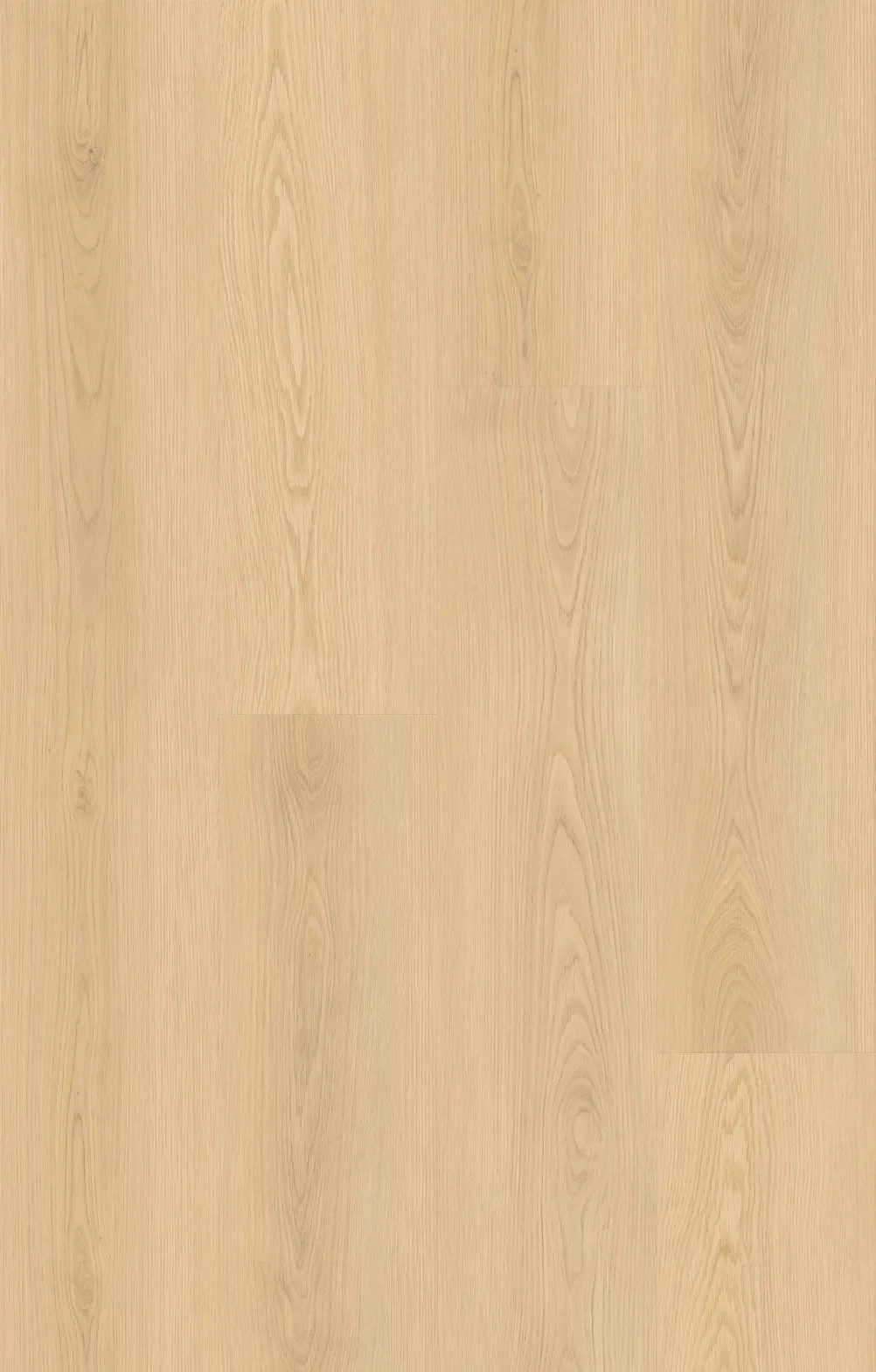 City+｜CT-7551