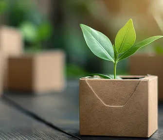 紙板要怎麼運用？