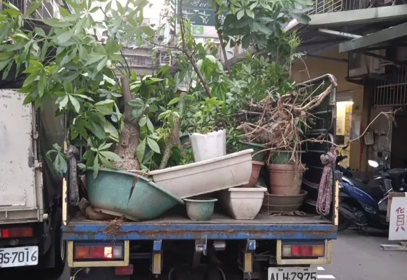 廢棄物該如何處理？