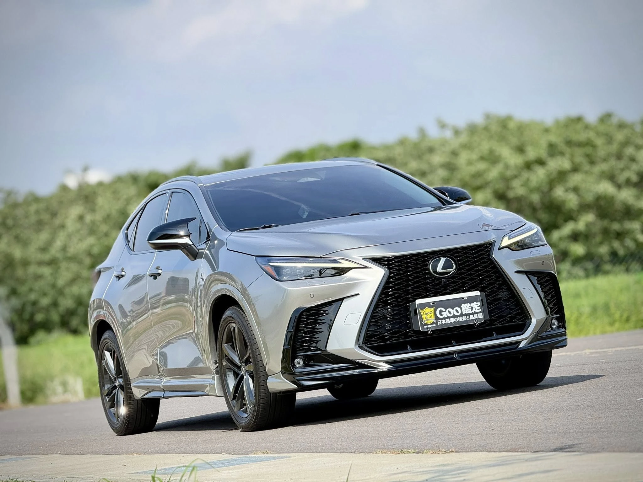 Lexus NX250 2023款 頂級版 升級F Sport套件