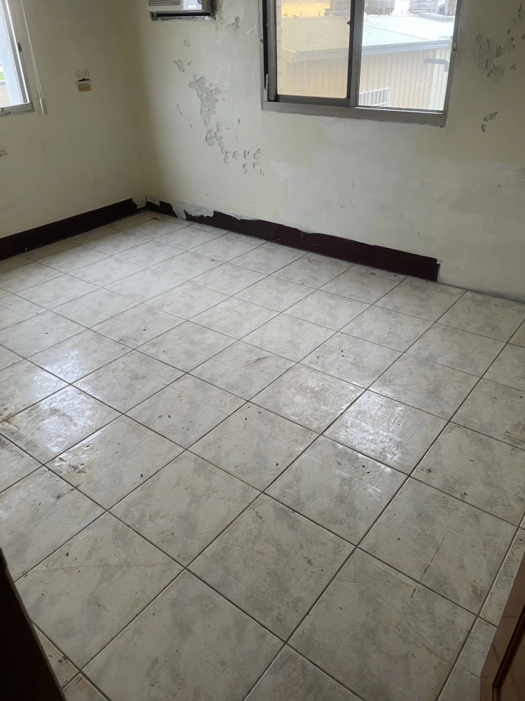 苑里除樹膠地板