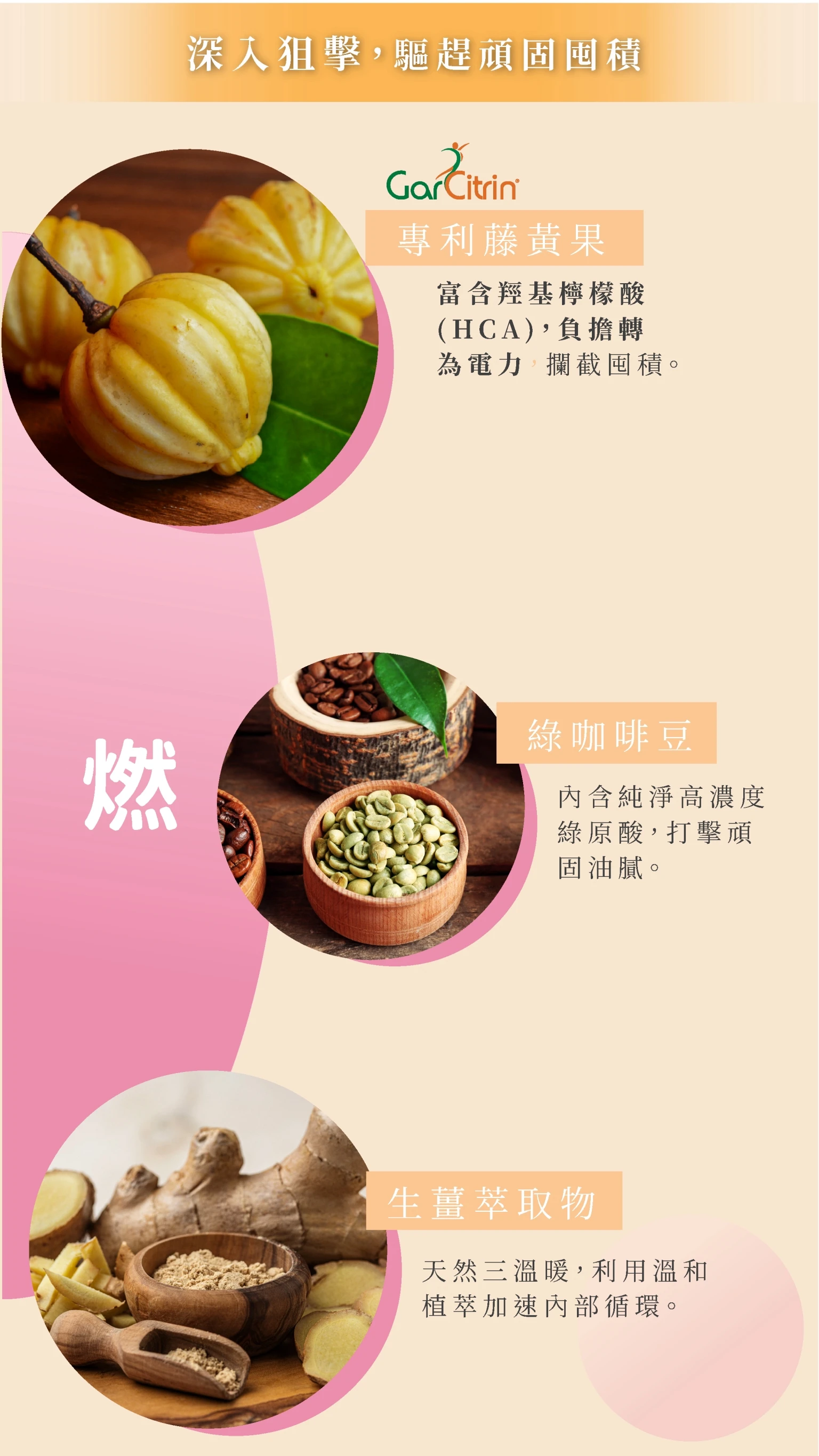 小纖多效膠囊