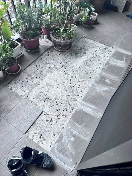 施工地點:竹北大樓