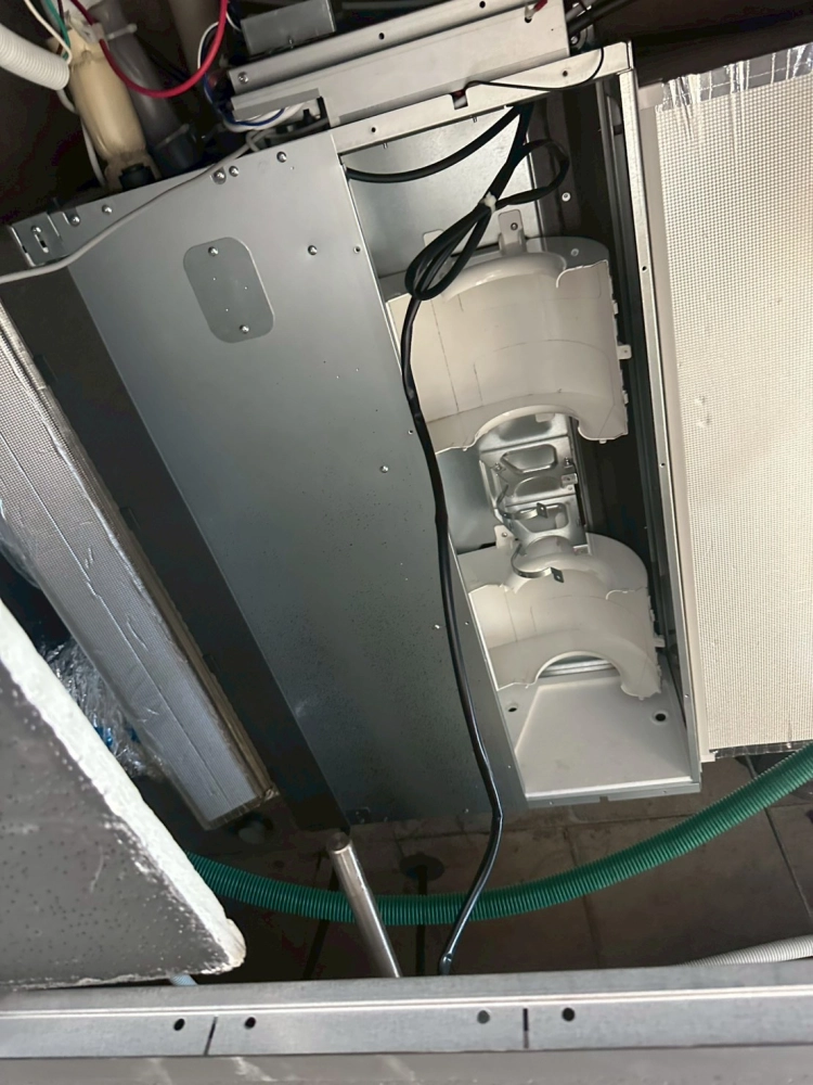 大直都更解壓縮館