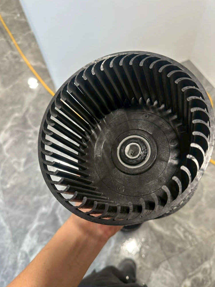 大直都更解壓縮館