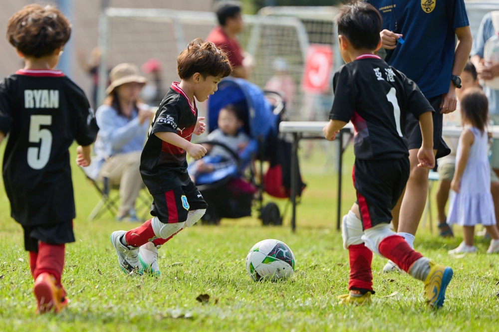 U6冠軍伊布隊照片