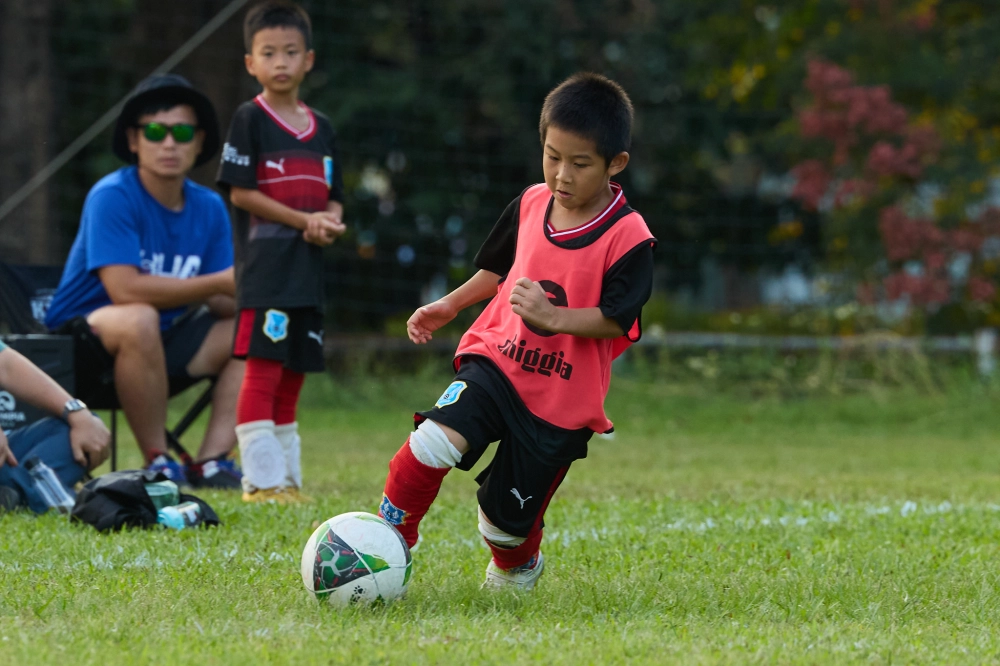 U6冠軍伊布隊照片