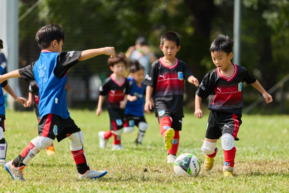 U6冠軍伊布隊照片