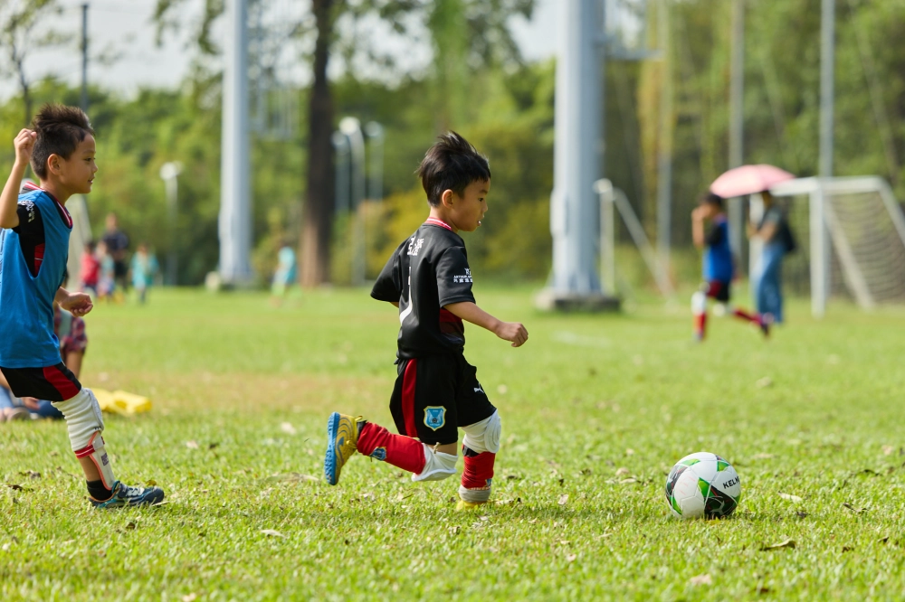 U6冠軍伊布隊照片