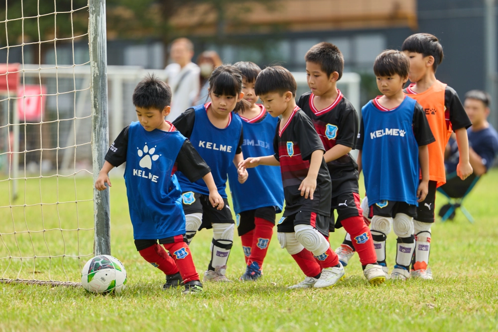 U6冠軍伊布隊照片
