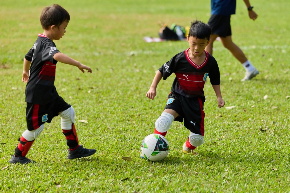 U6冠軍伊布隊照片