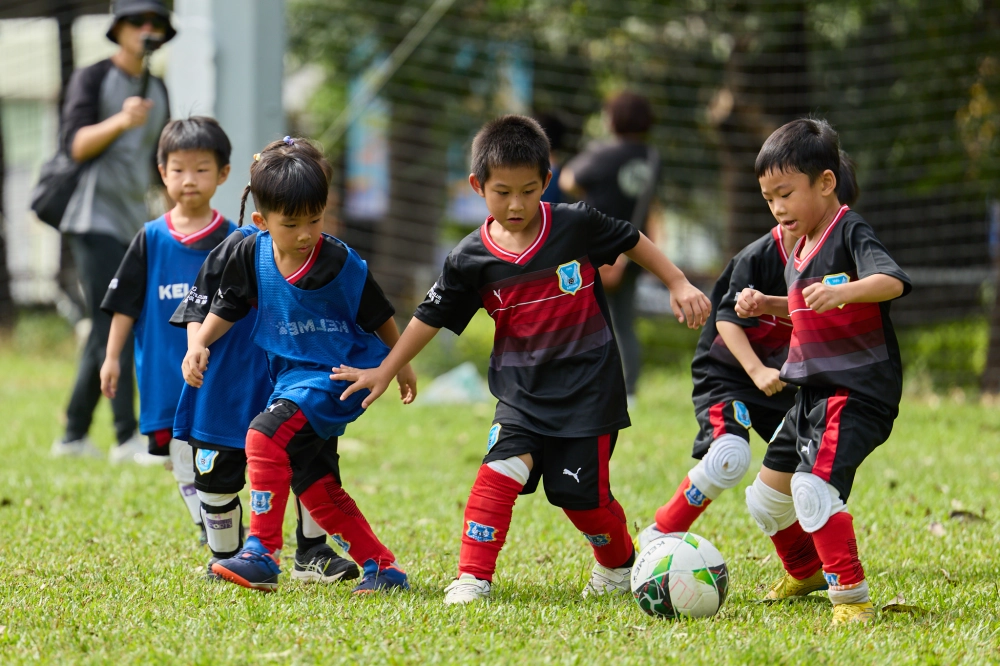 U6冠軍伊布隊照片