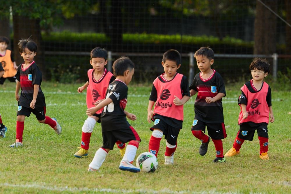 U6冠軍伊布隊照片