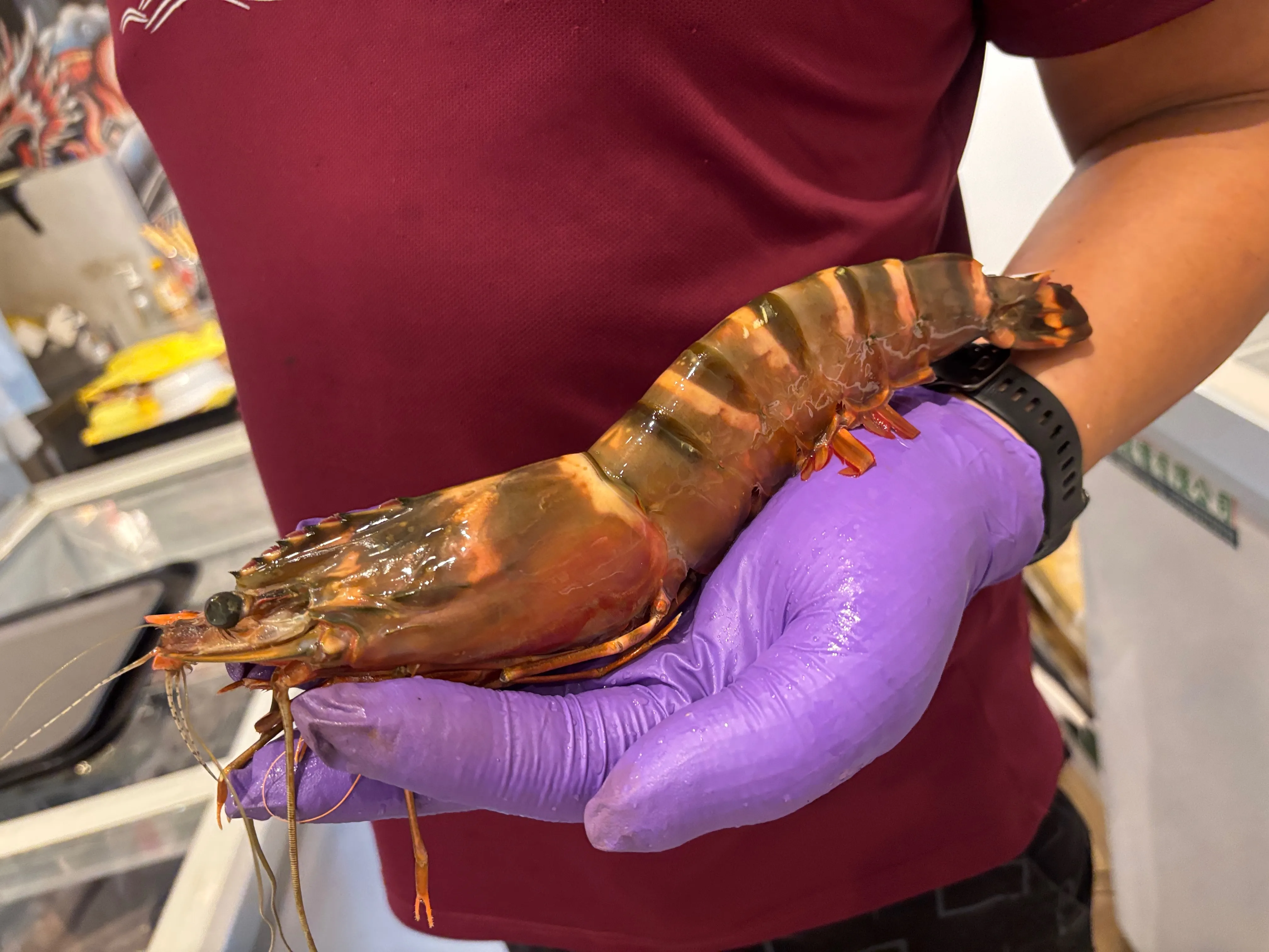 巨無霸手臂蝦（1包2隻！）