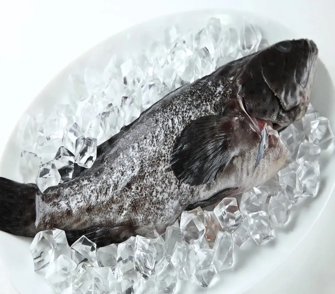 龍虎石斑（去鱗 去腮 去內臟，真空包裝）