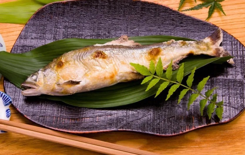 台灣香魚（公）