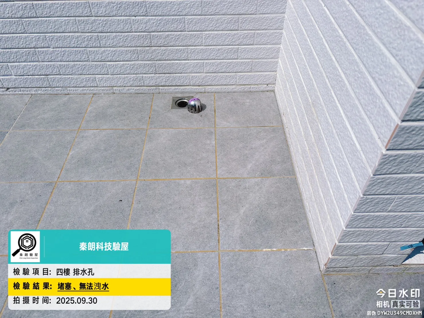 茄萣 漁上游6