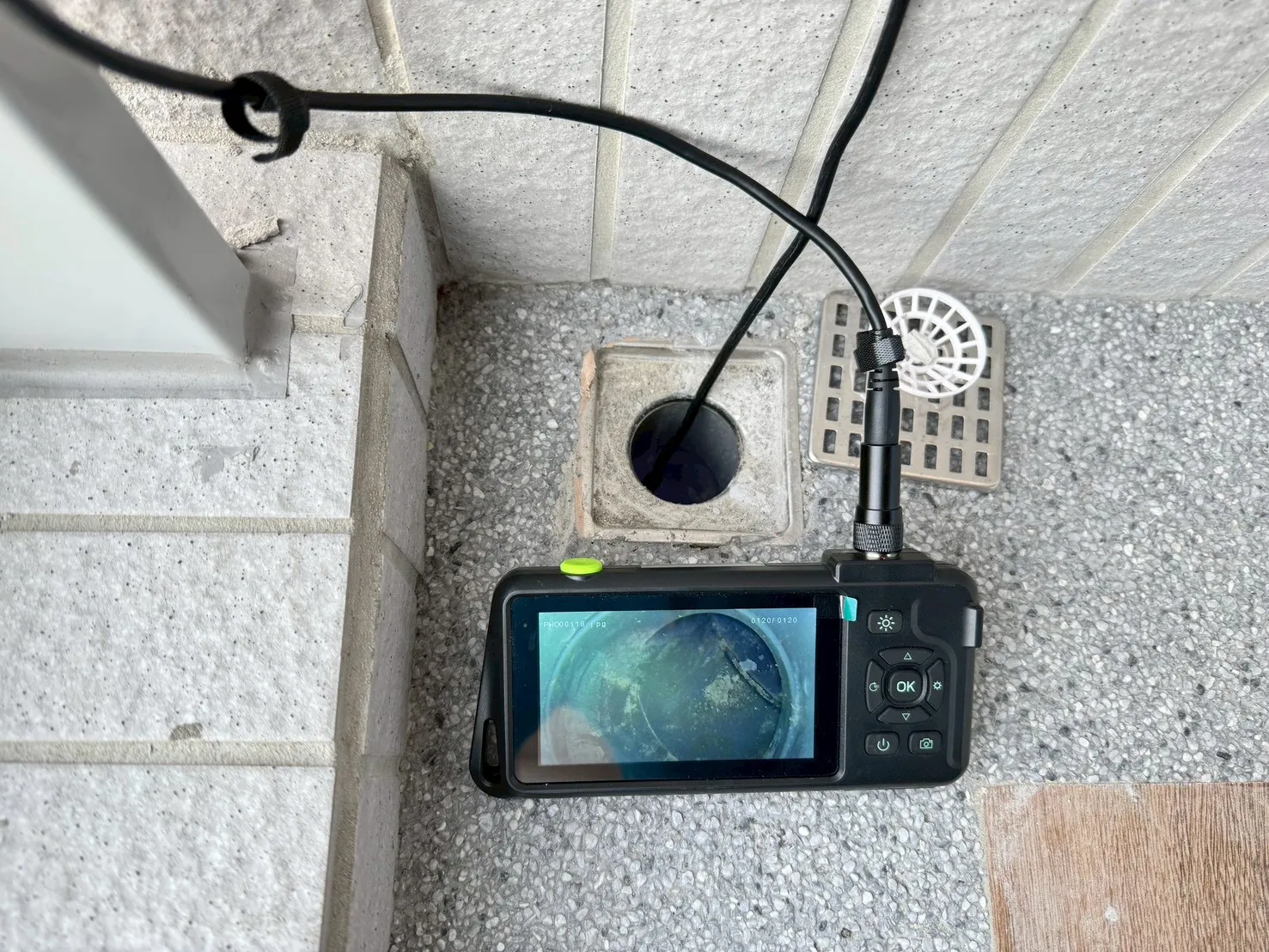 新興區 崑庭敦品