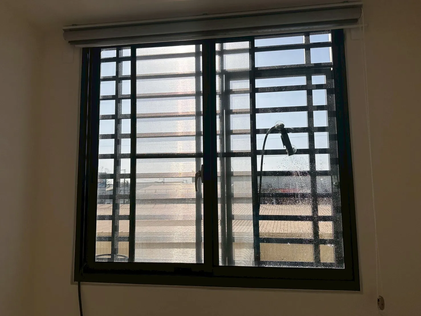 安南區 小王子8