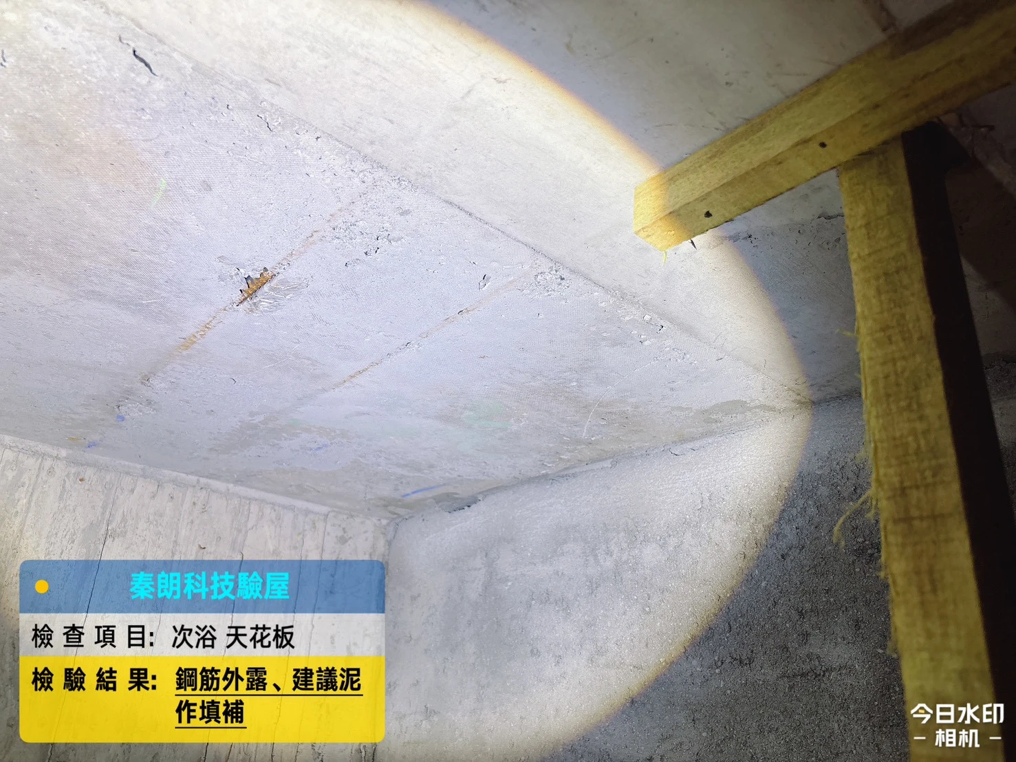 大樹 旺萊市