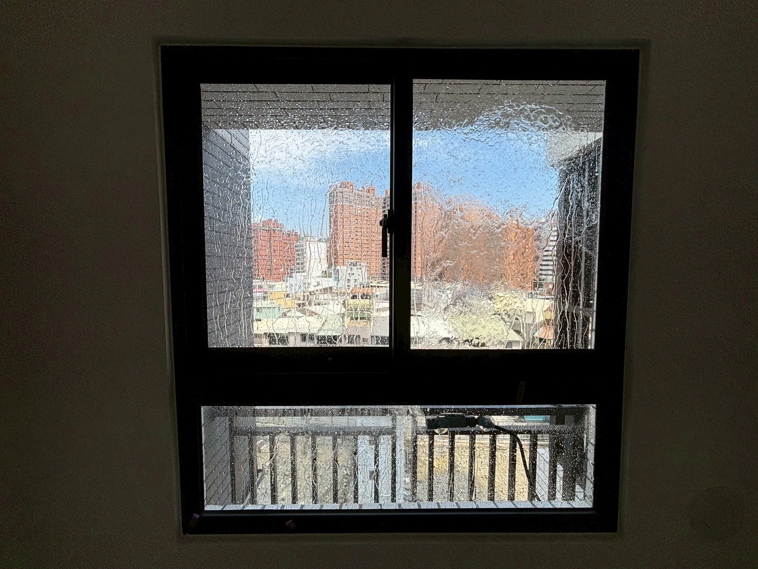 龍騰鑫空樹