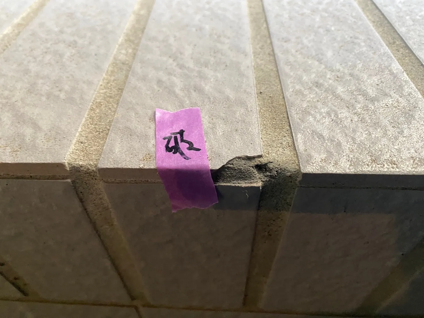 台南 東都綠學