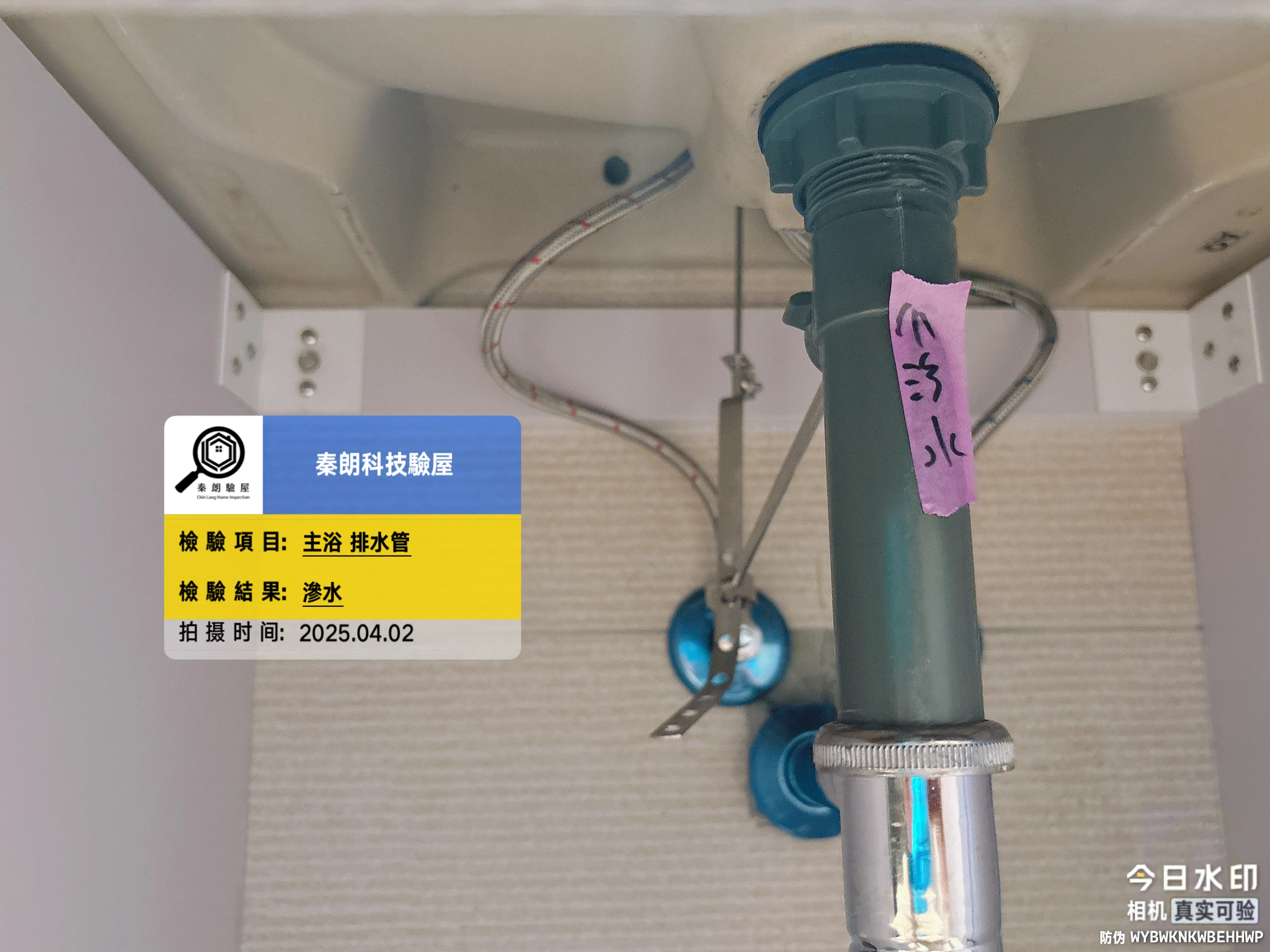 仁武 健暉N21 EAR