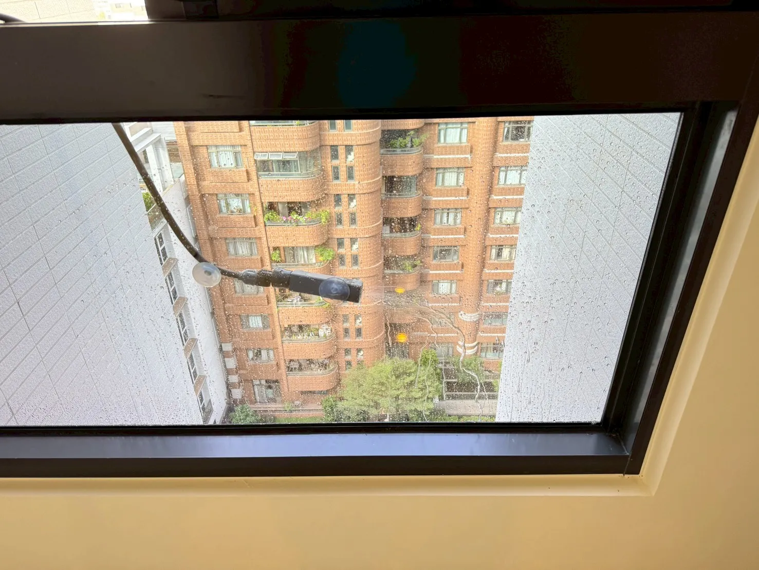 新興區 崑庭敦品