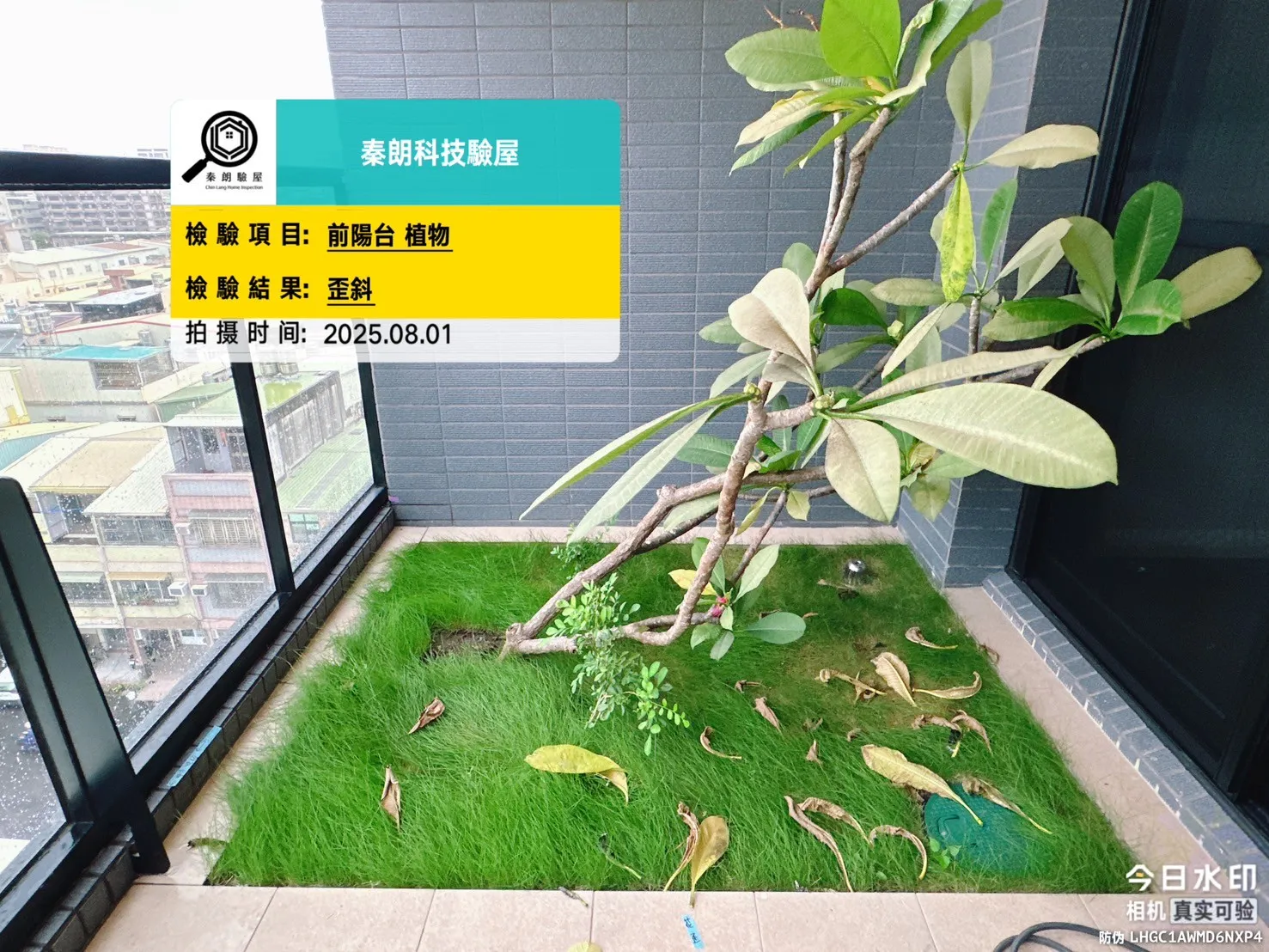 鳳甲 聯上ME悅