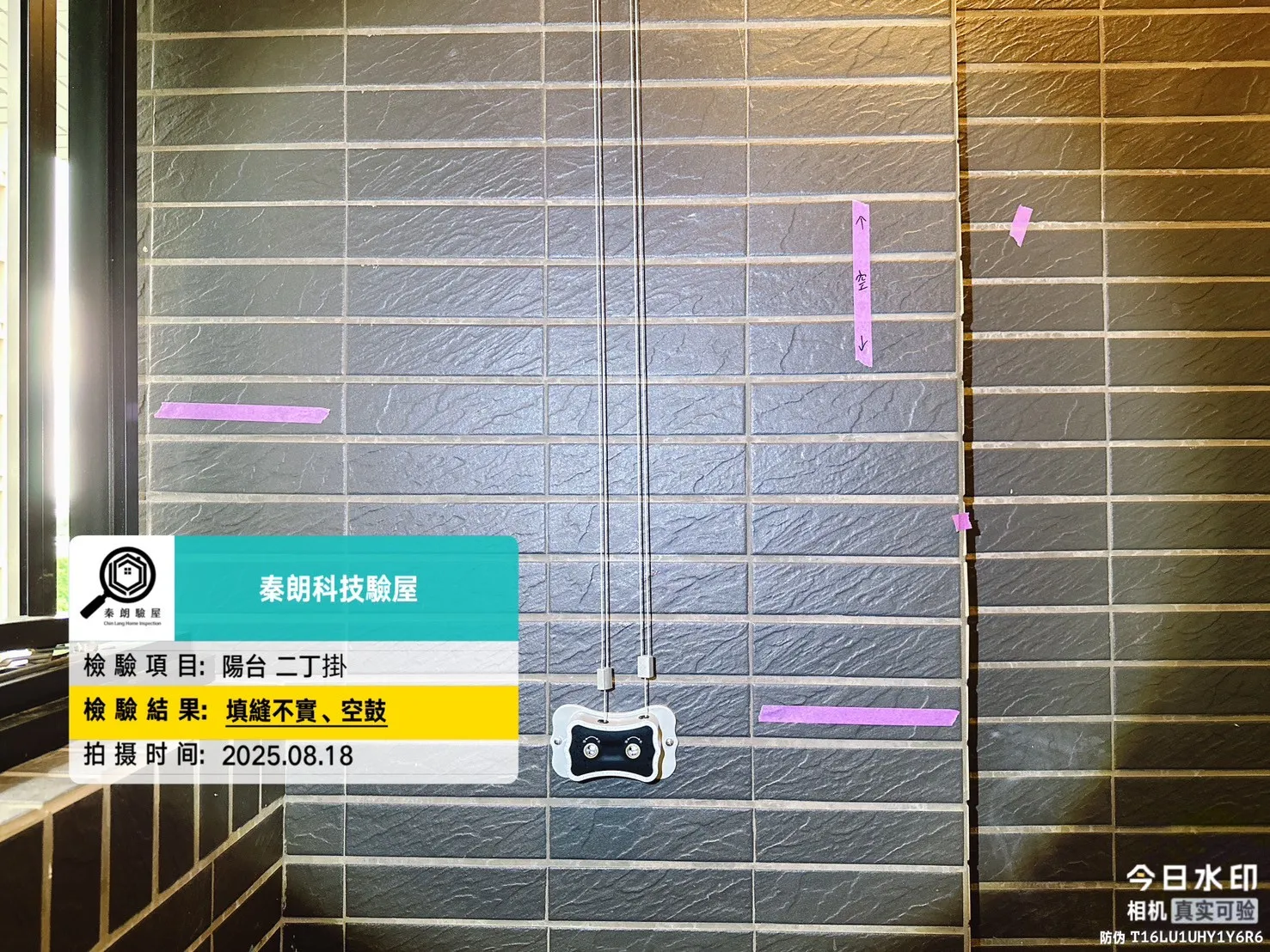 五甲 城揚大家