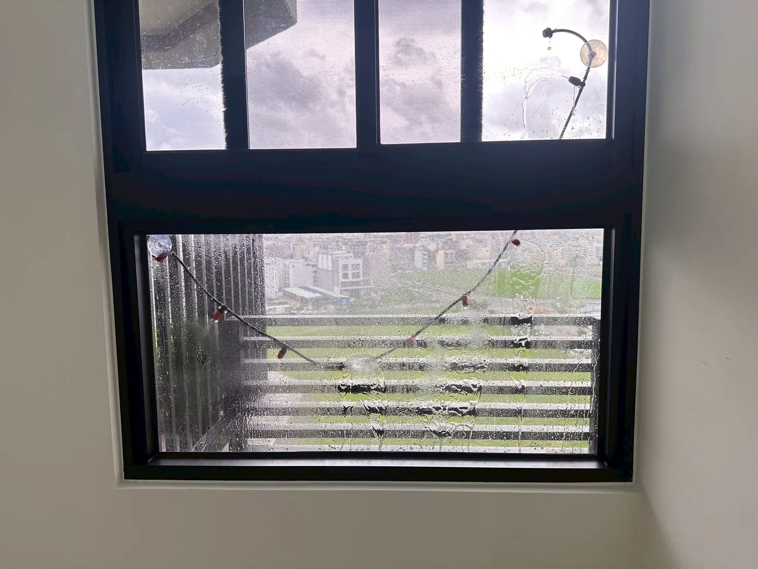 鳳甲 新樂活