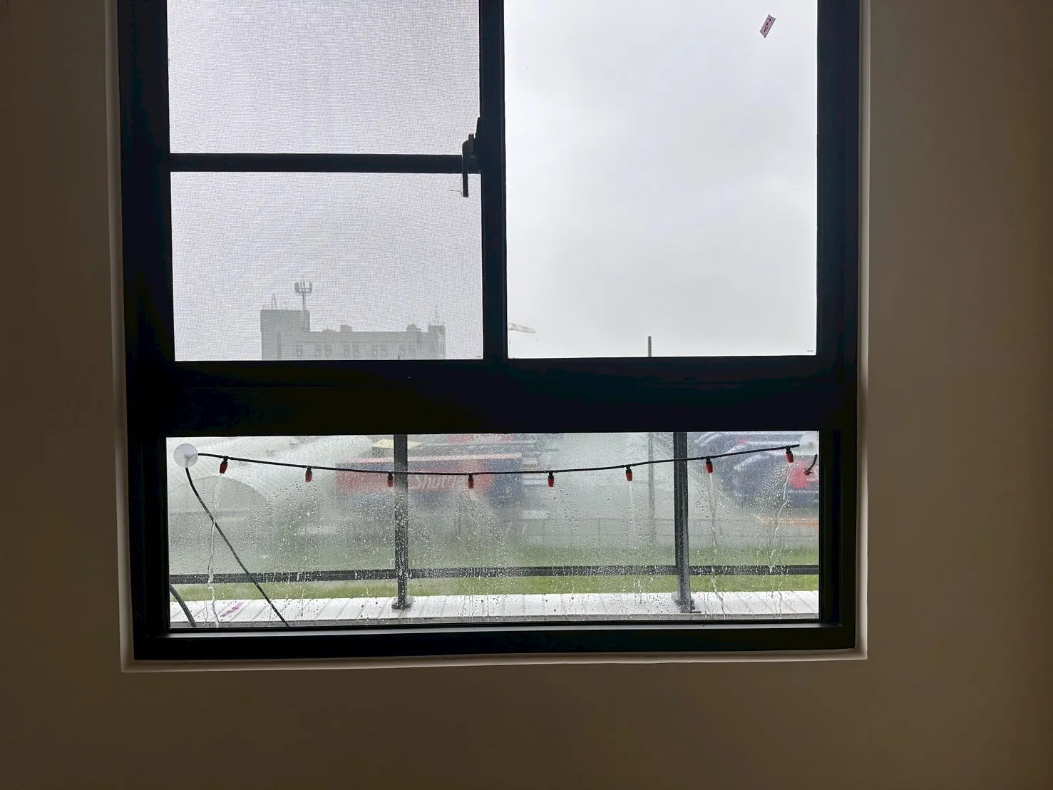 善化 連建苒苒