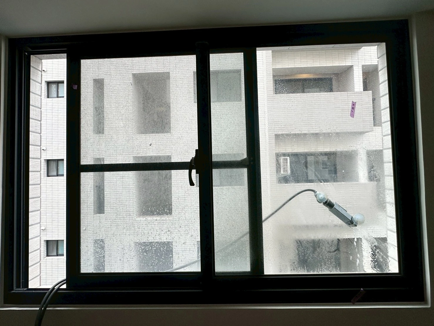 西港 双贏