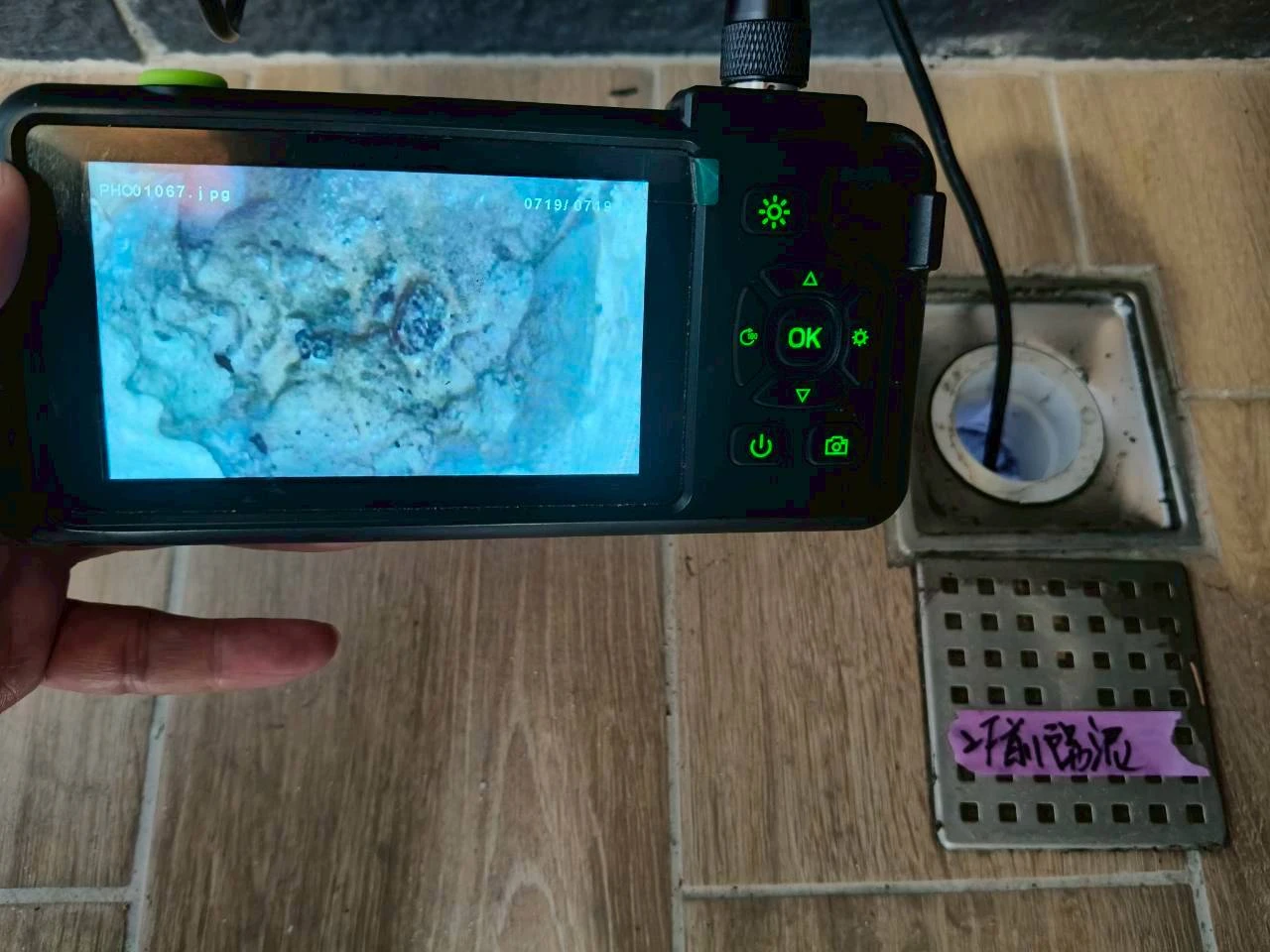 仁武 開遠綠園