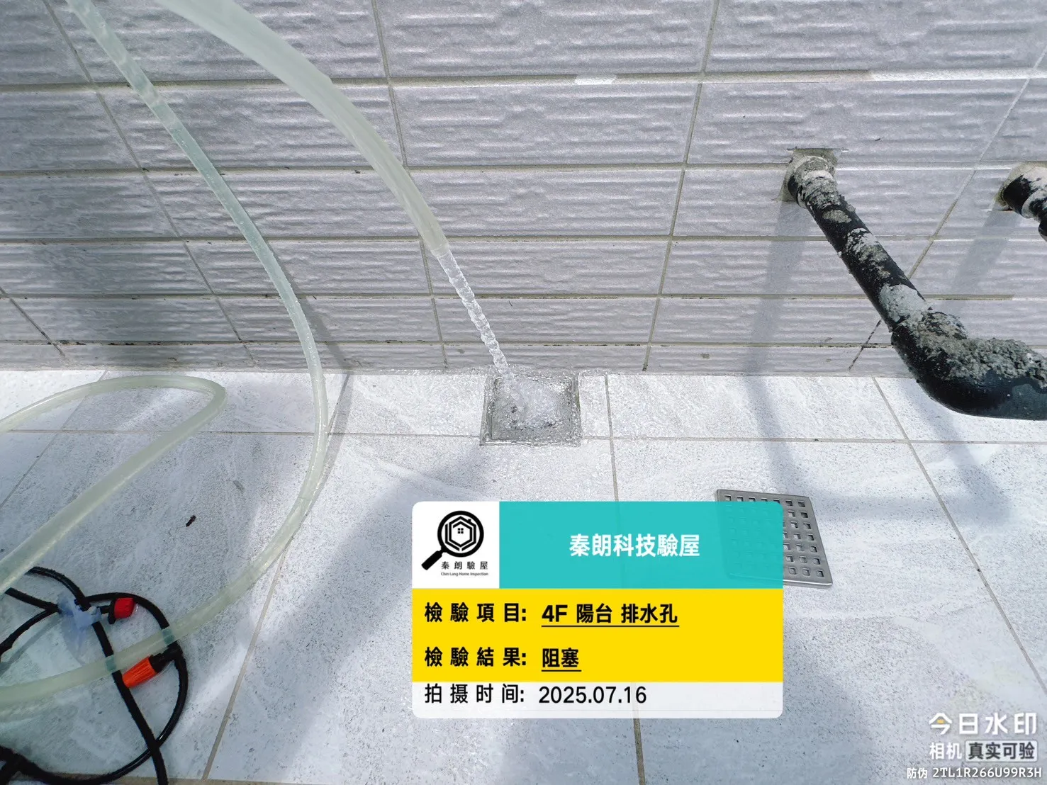 阿蓮 舜發富貴6