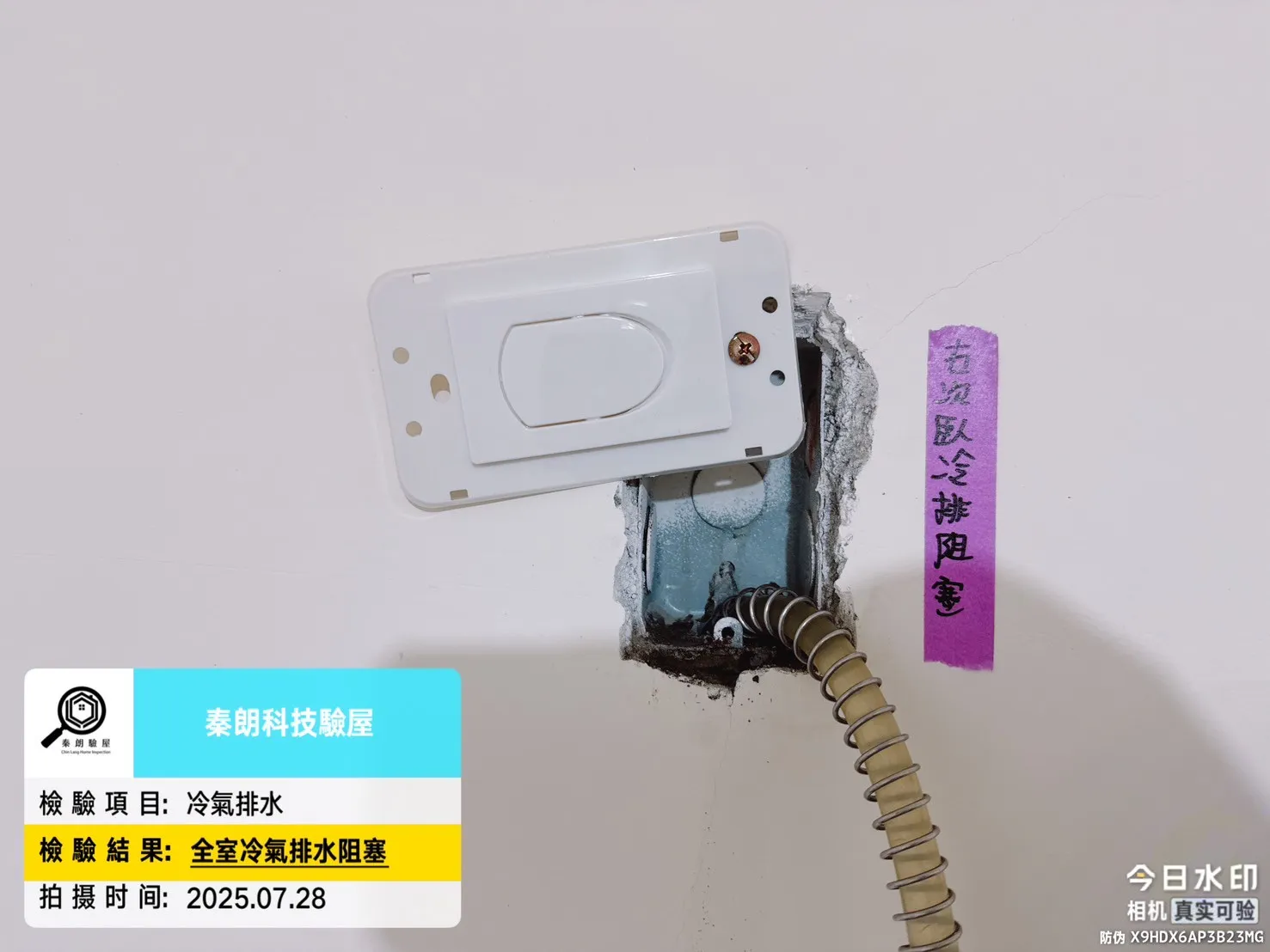 亞灣區 星玥灣