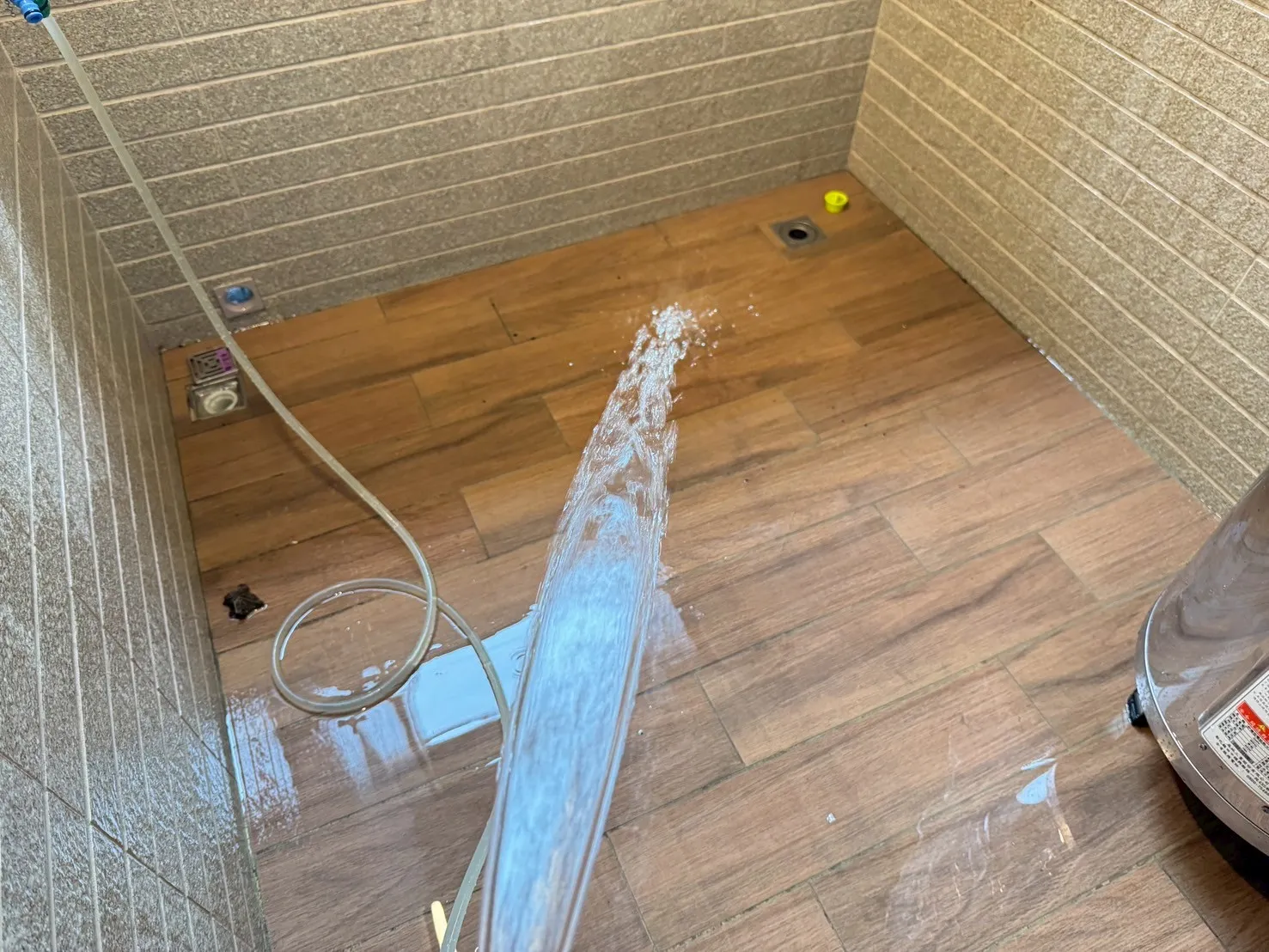 鳳甲 新樂活