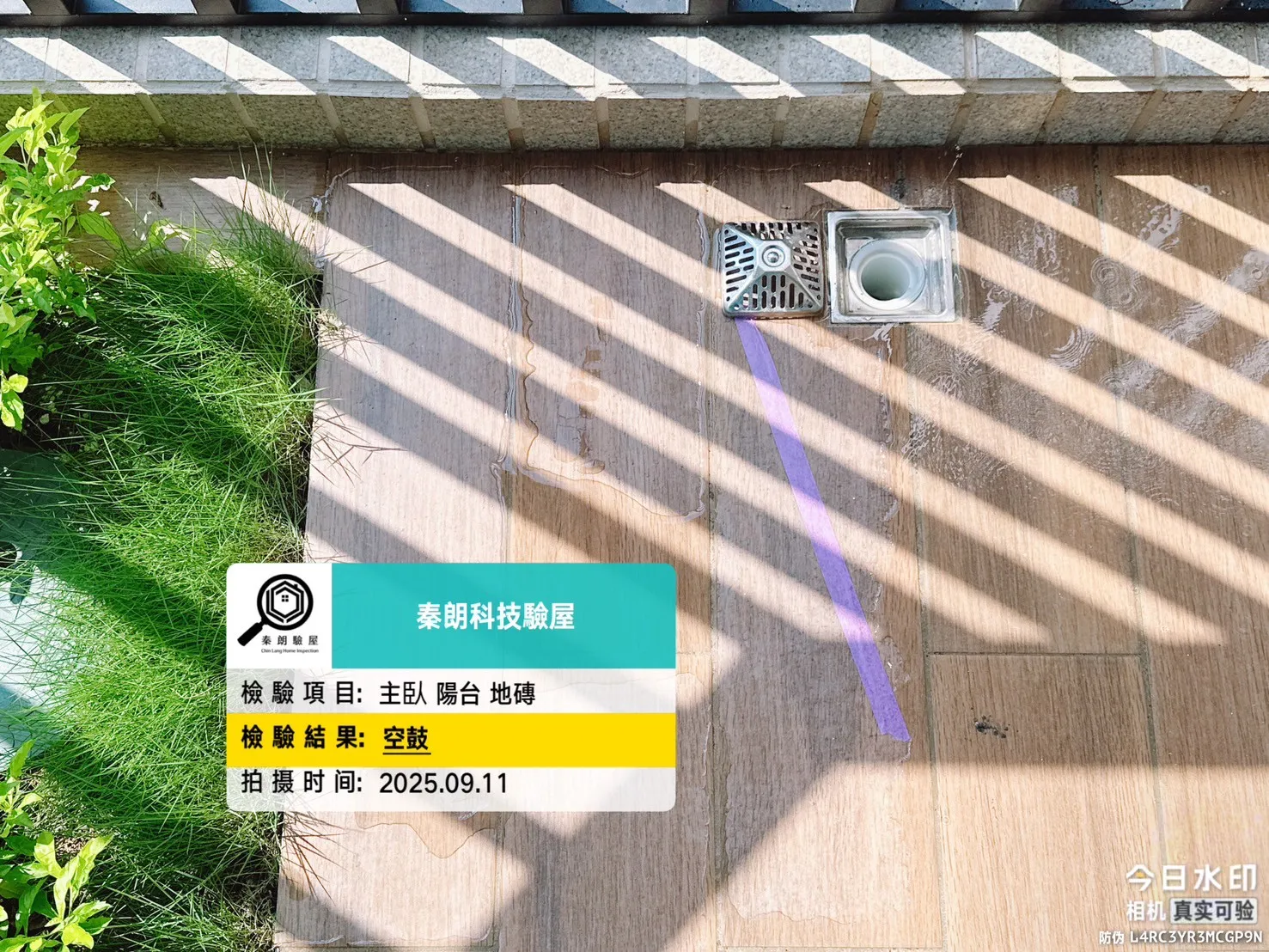 鳳甲 新樂活