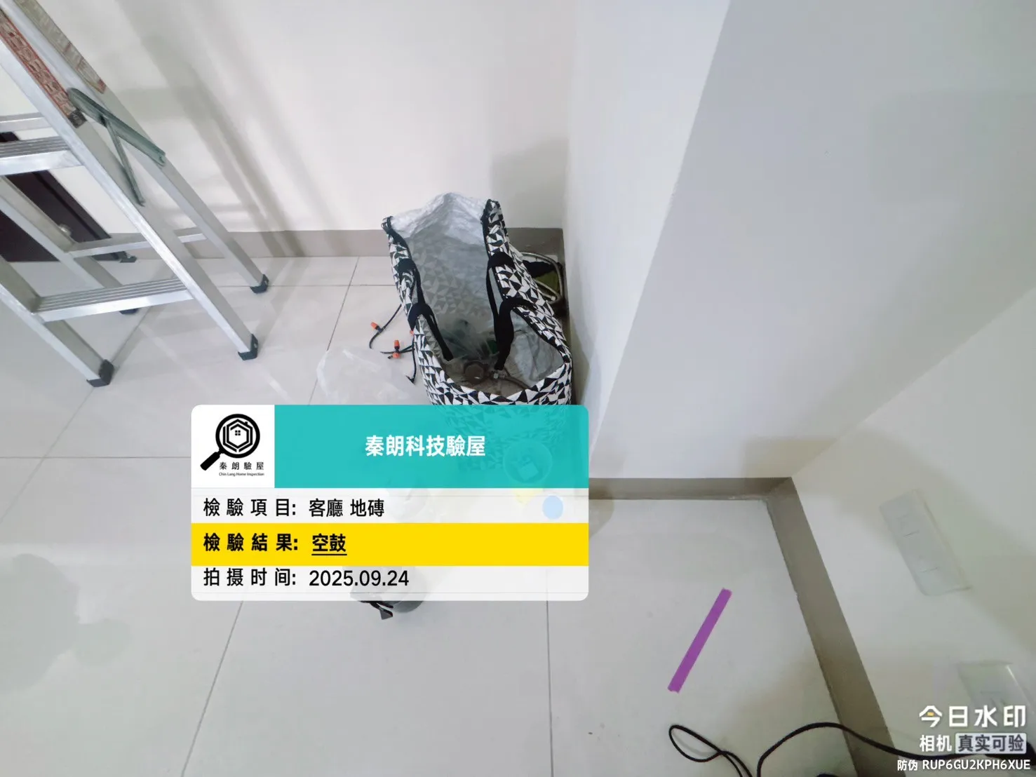 鳳甲 城揚大家
