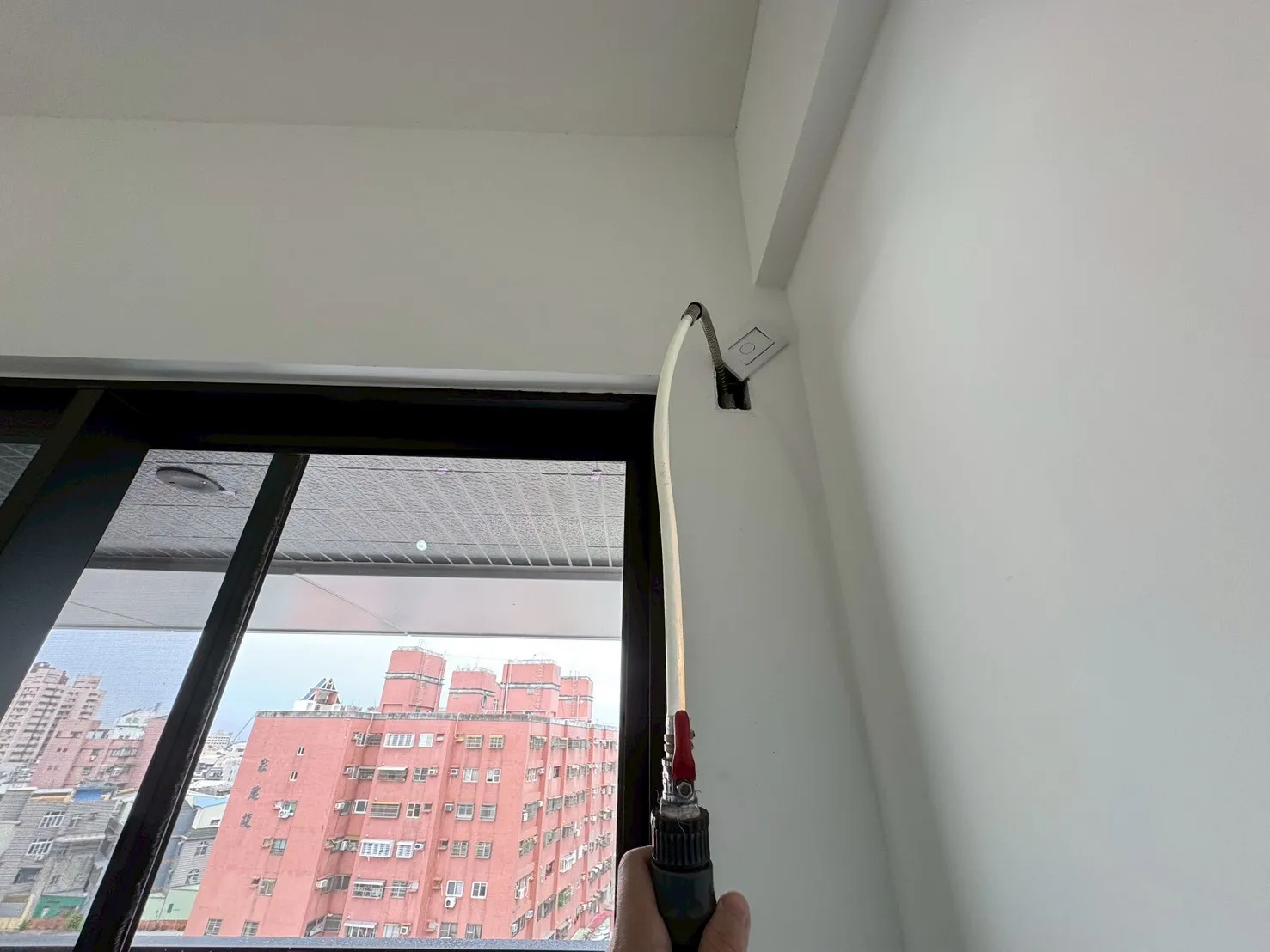 新營 清景麟長勝