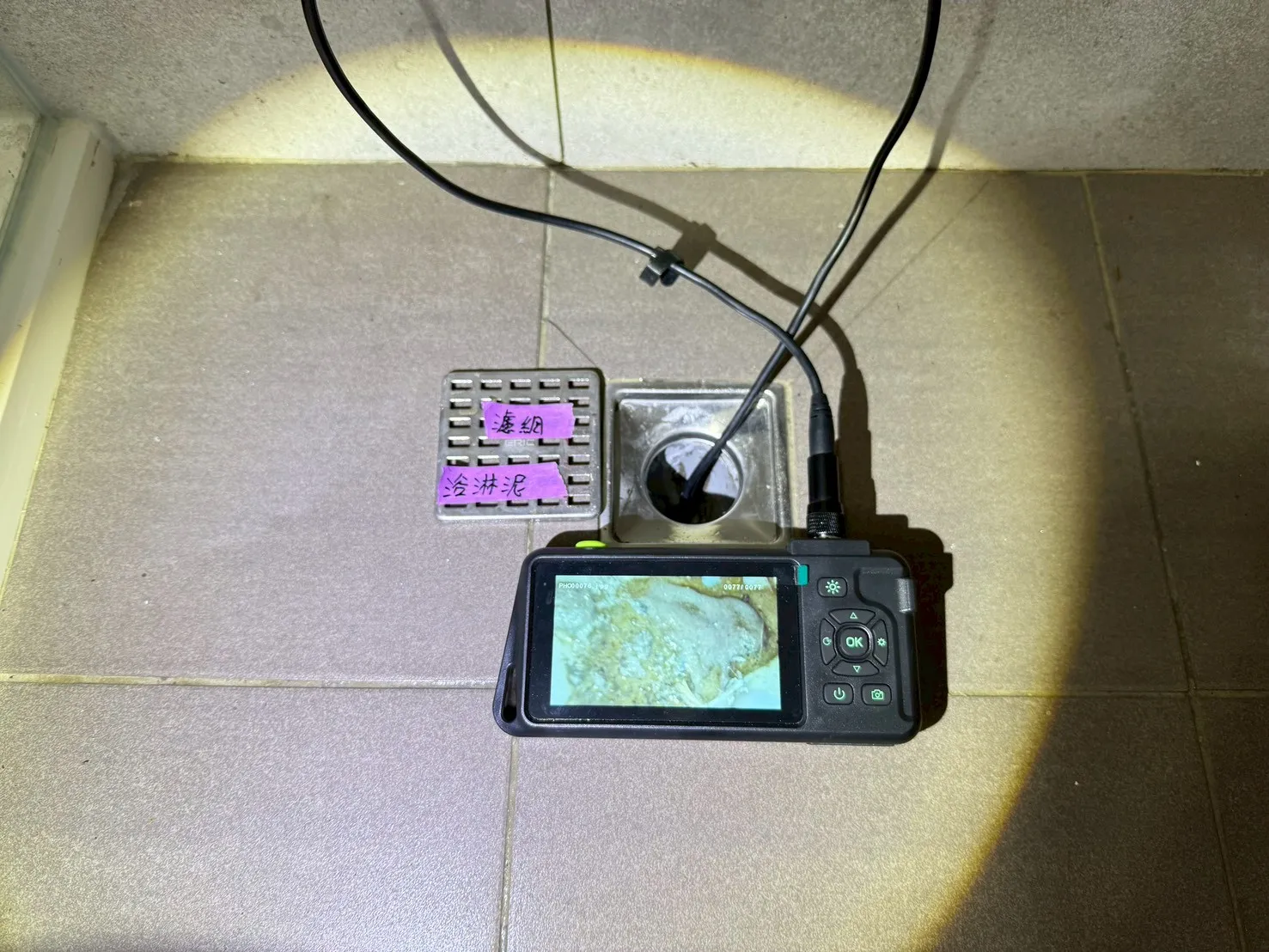 歸仁 達麗世界仁