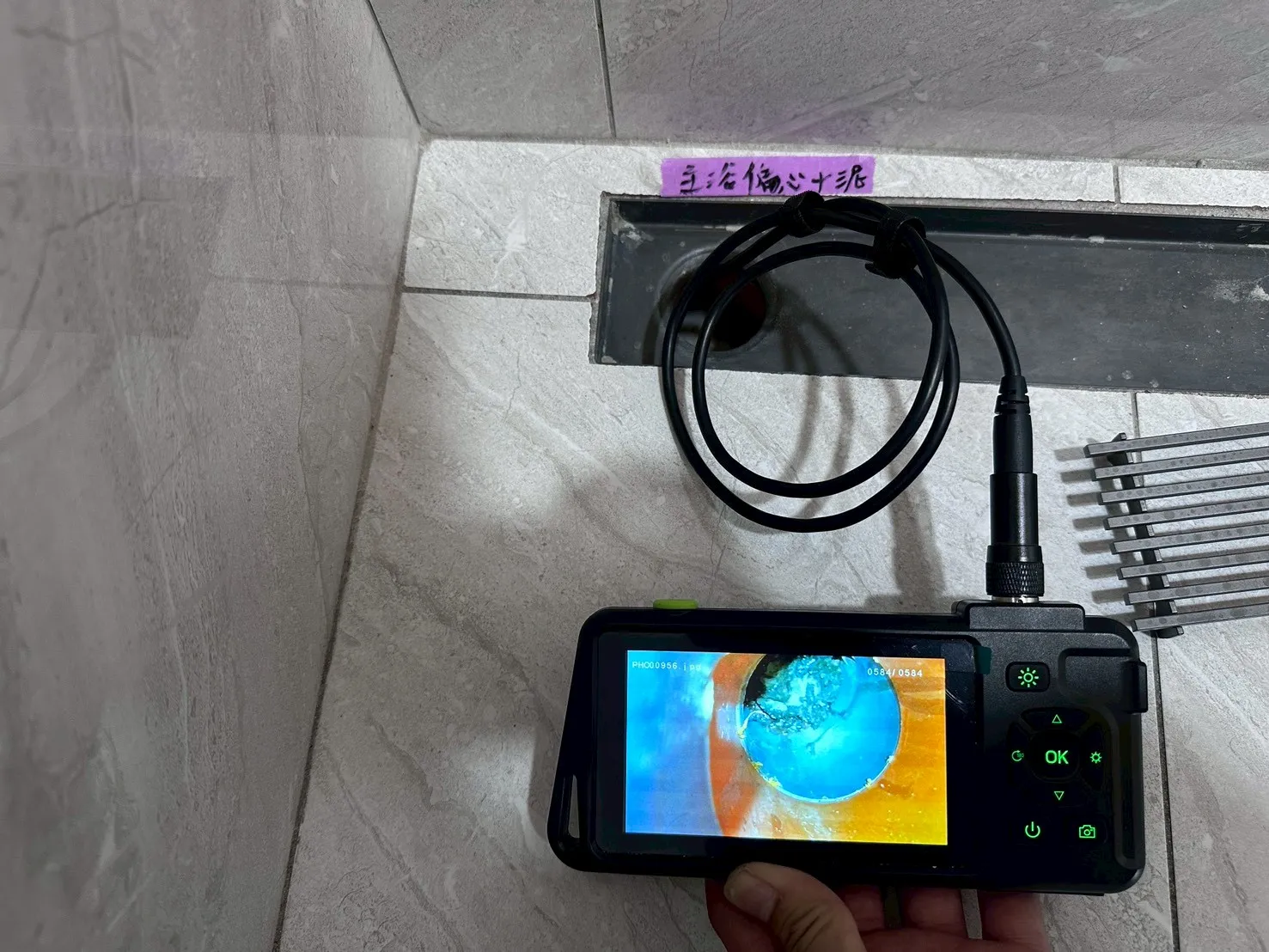 安南 藏紅11和樂居