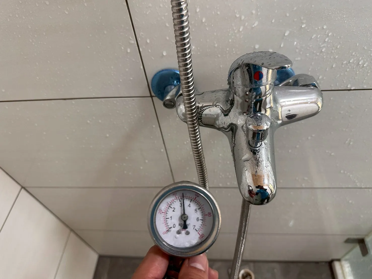 安南區 小王子8