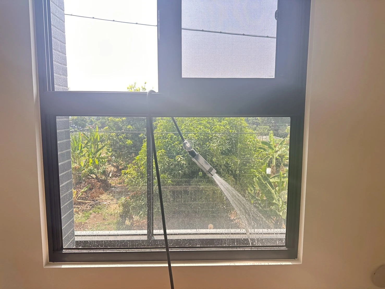 林園 春吉5