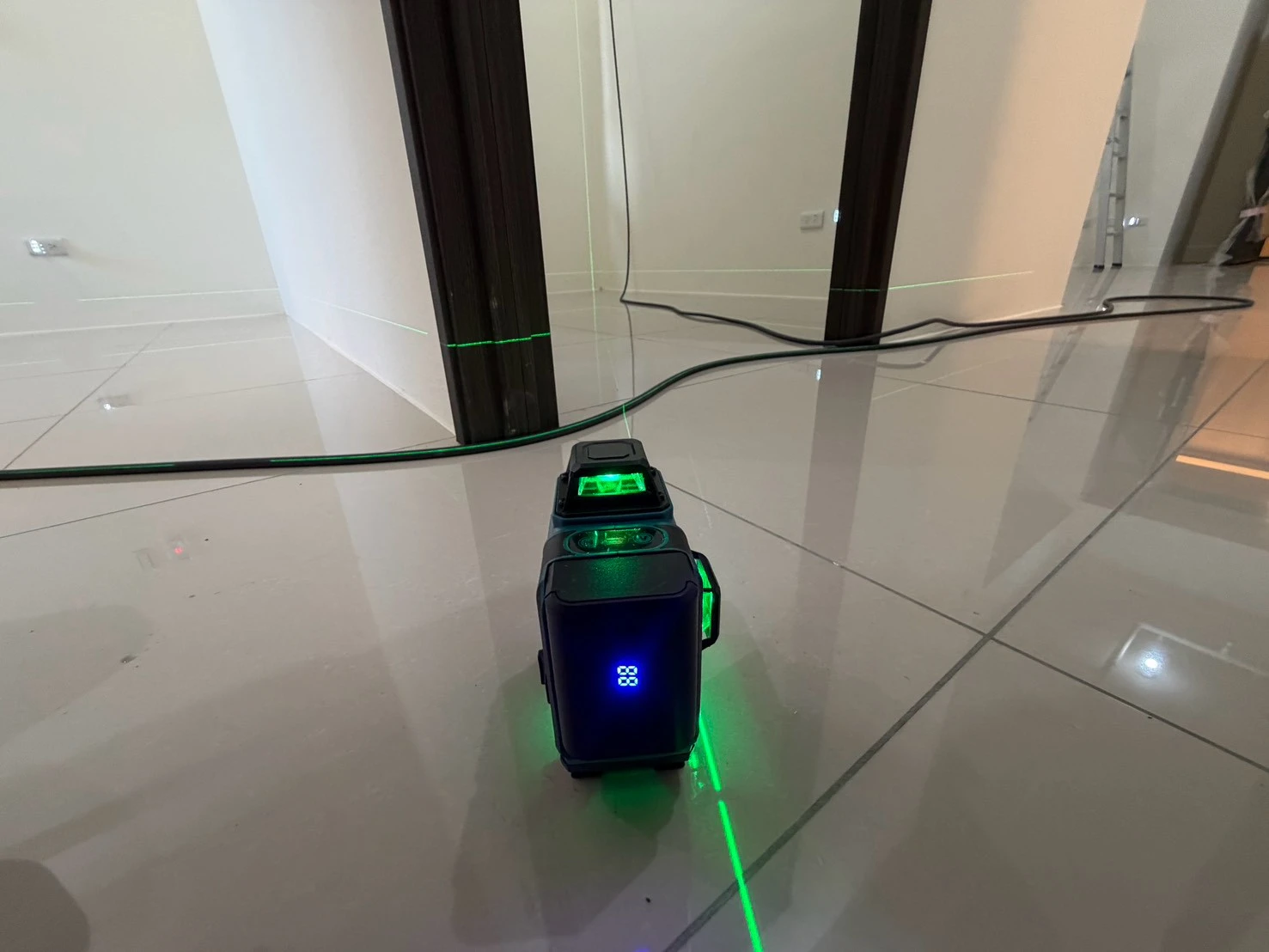 龍騰 鑫空樹