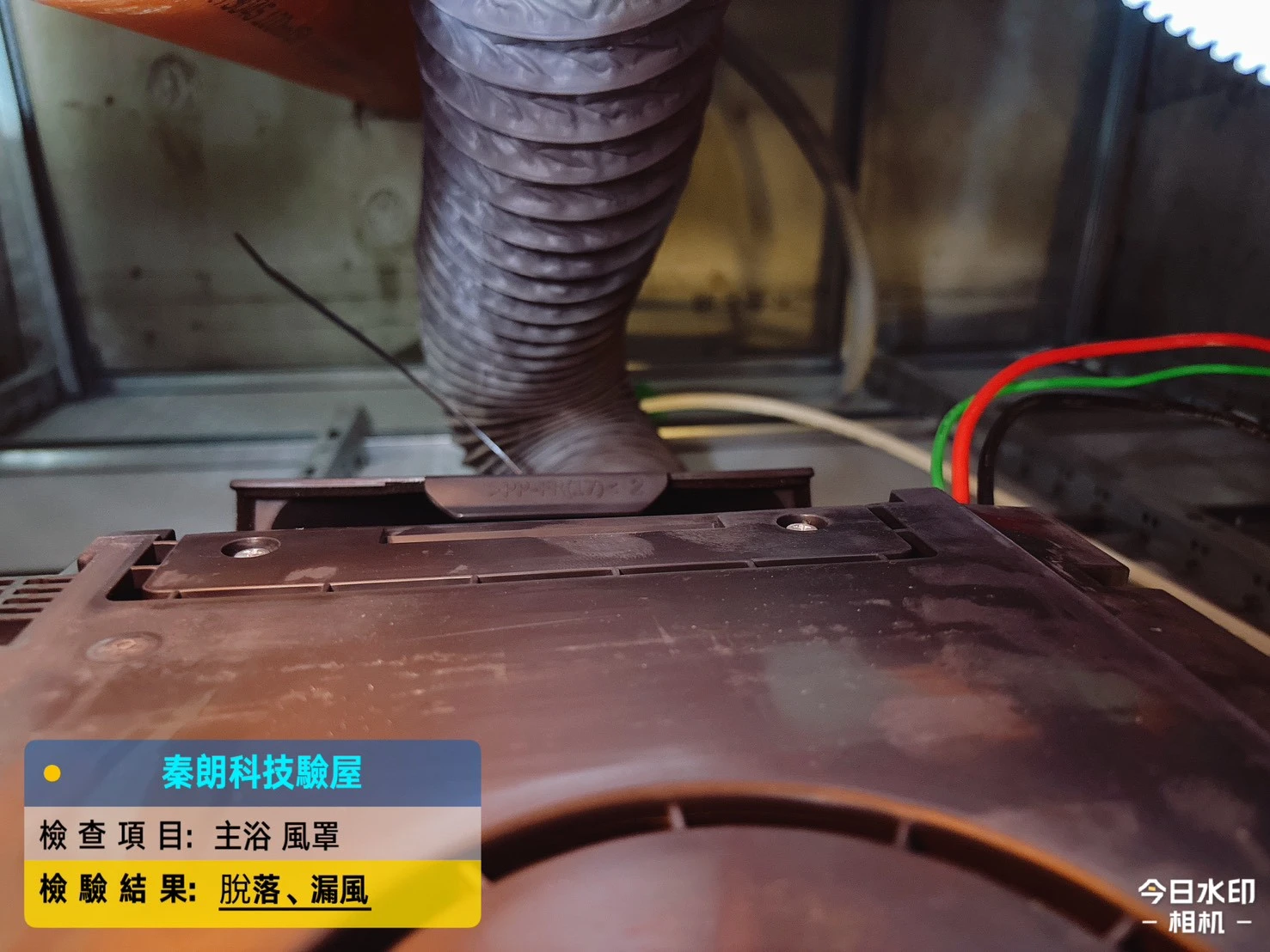 龍騰鑫空樹