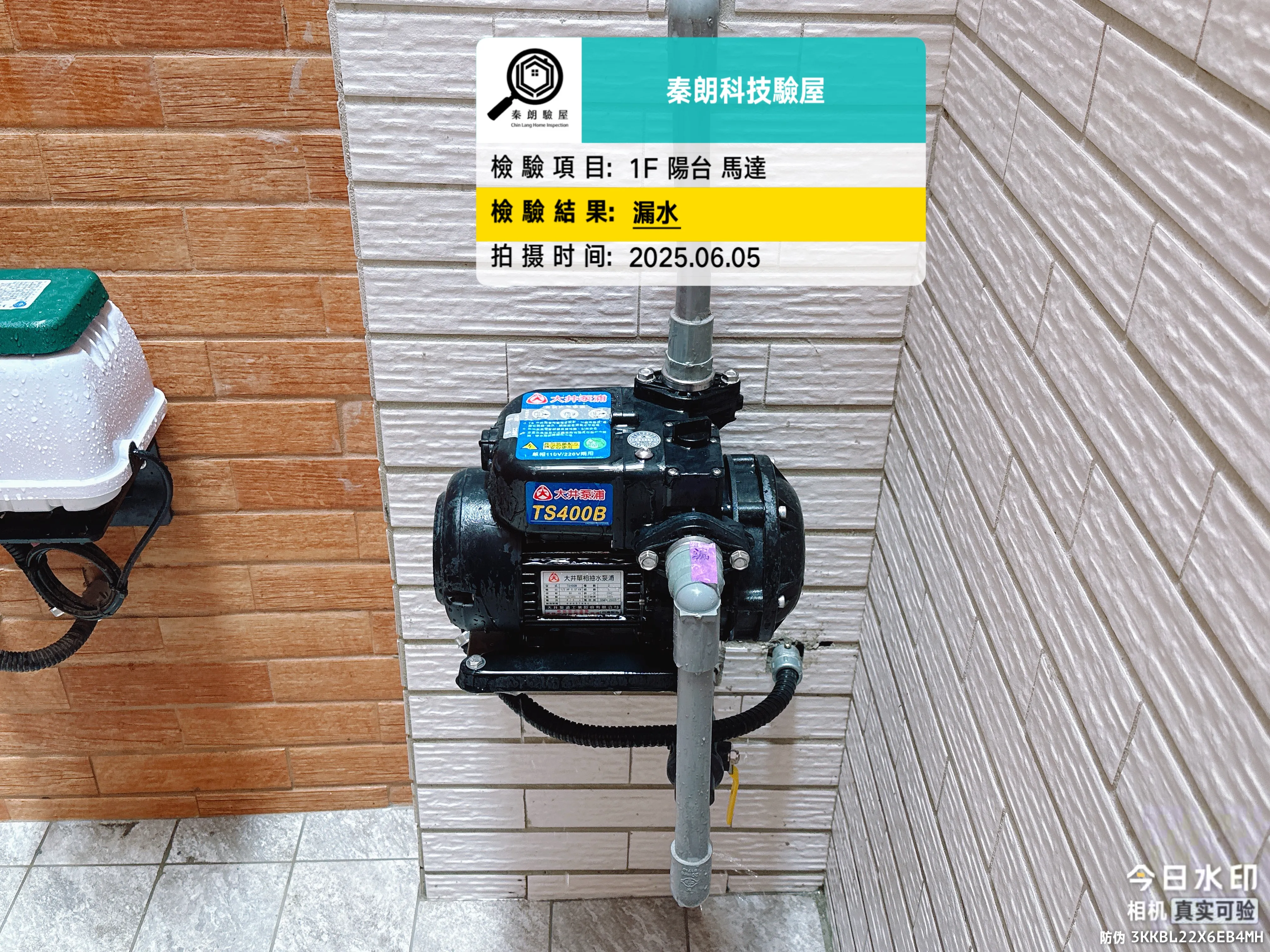 橋頭 悅龍琚